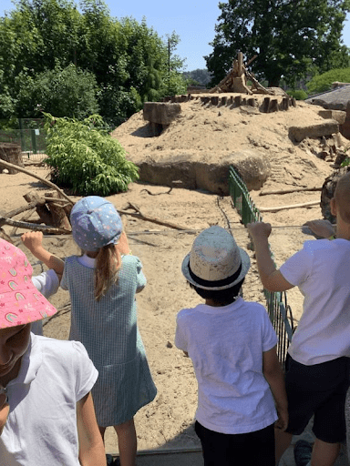 Children from studley green primary watch meerkats at longleat