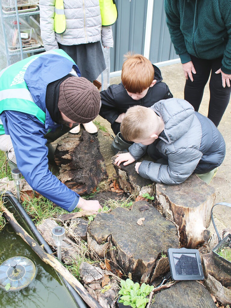 Children and teacher looking under logs at insects in the garden