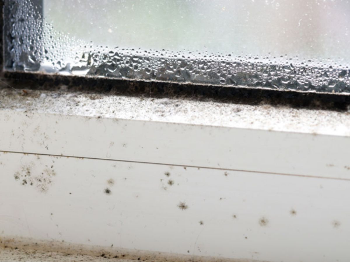 Condensation with a small amount of mould growth on PVC window frame