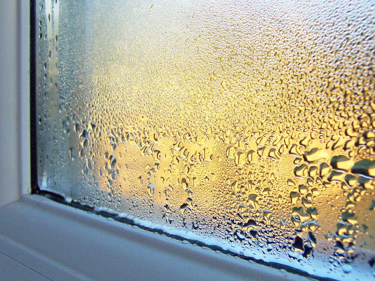 Condensation on windows with no mould