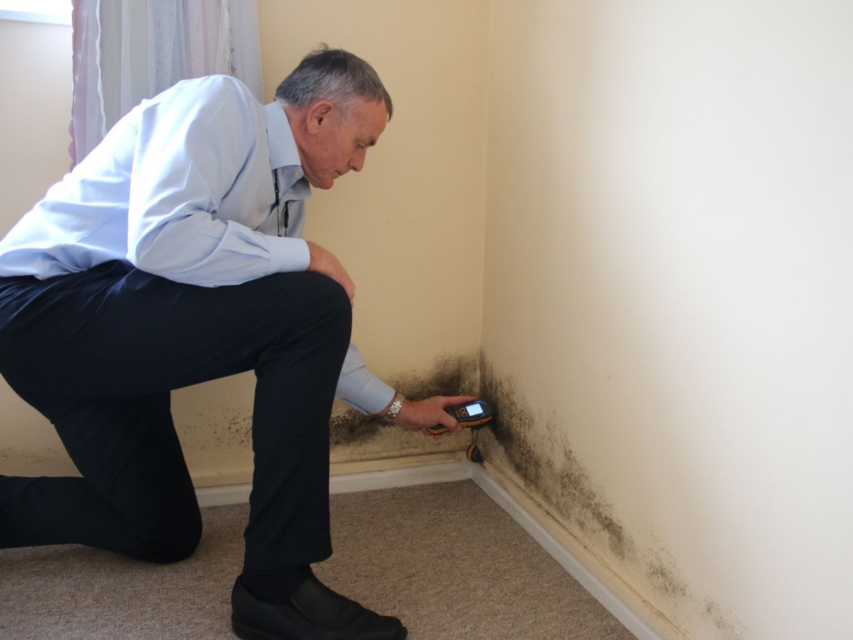 Selwood Housing damp and mould surveyor inspecting black mould in bedroom