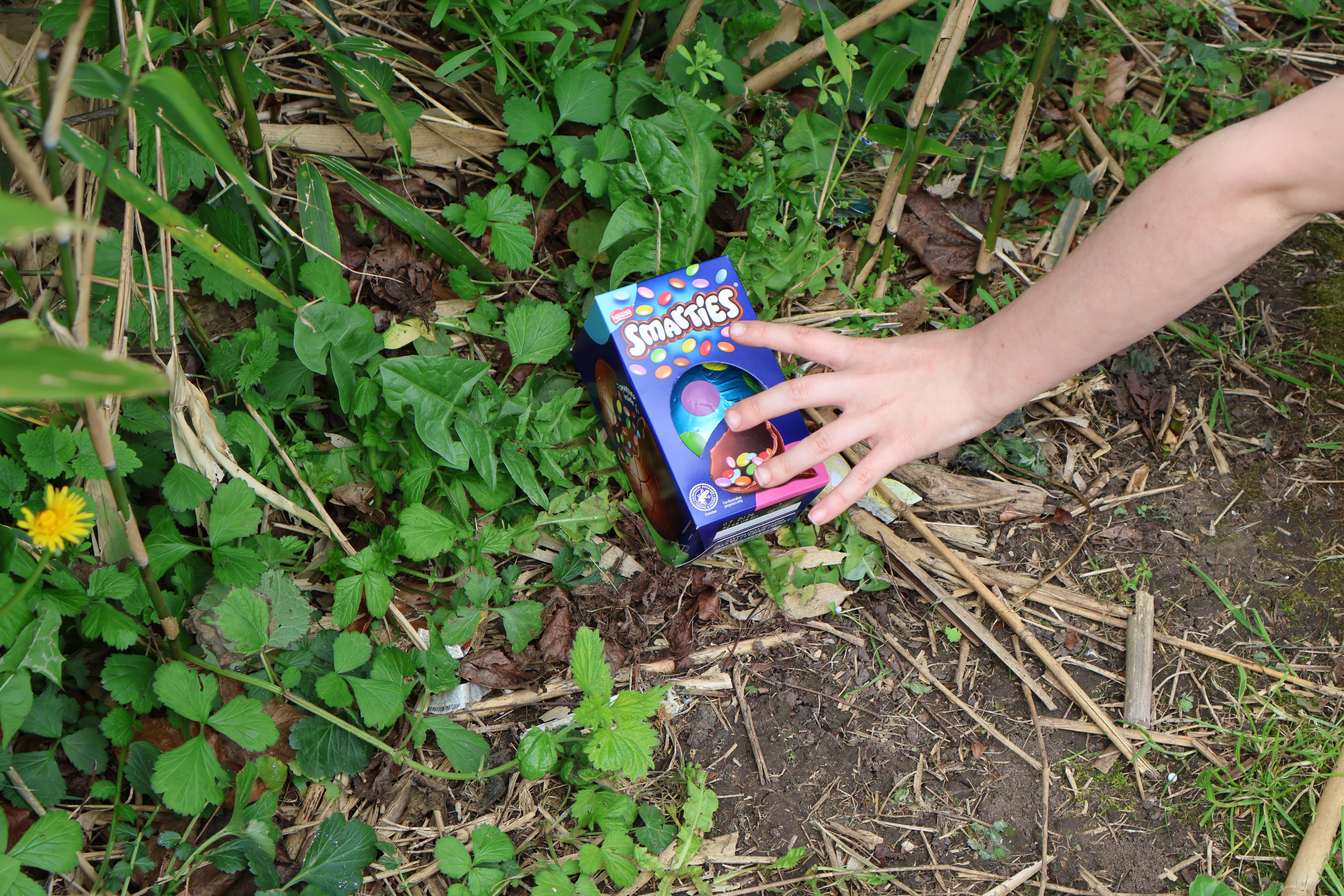 A child's hand finding an Easter egg