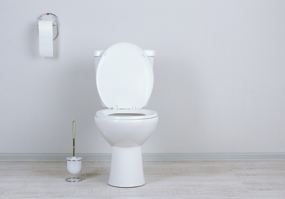 white-toilet-bowl-in-a-bathroom-picture-id453099407